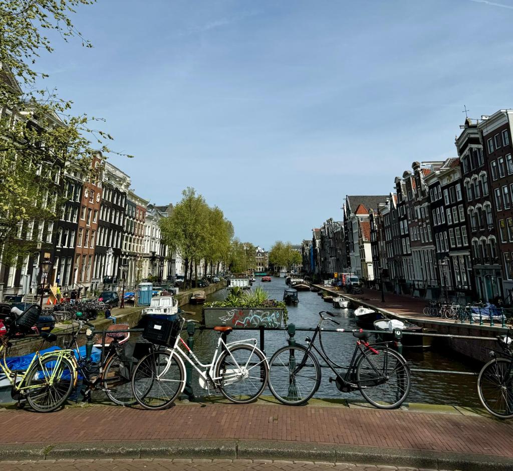 Tulip Time in&nbsp;Amsterdam